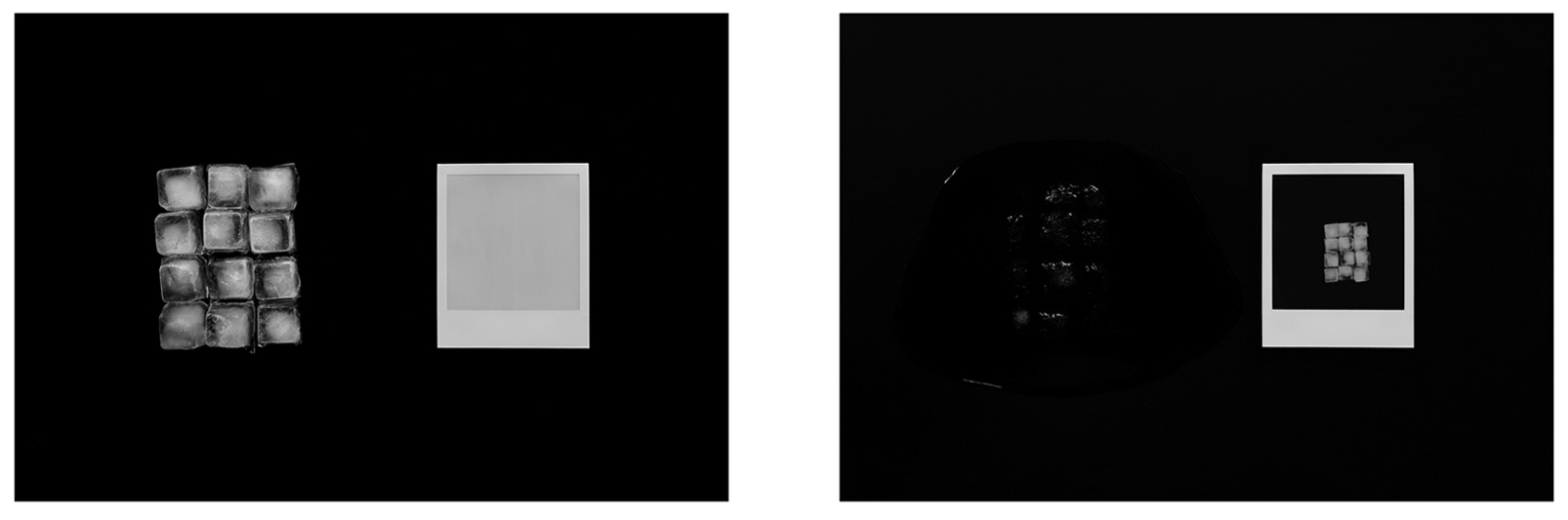 sisley ice and polaroid